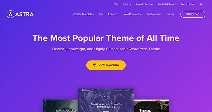astra wordpress theme
